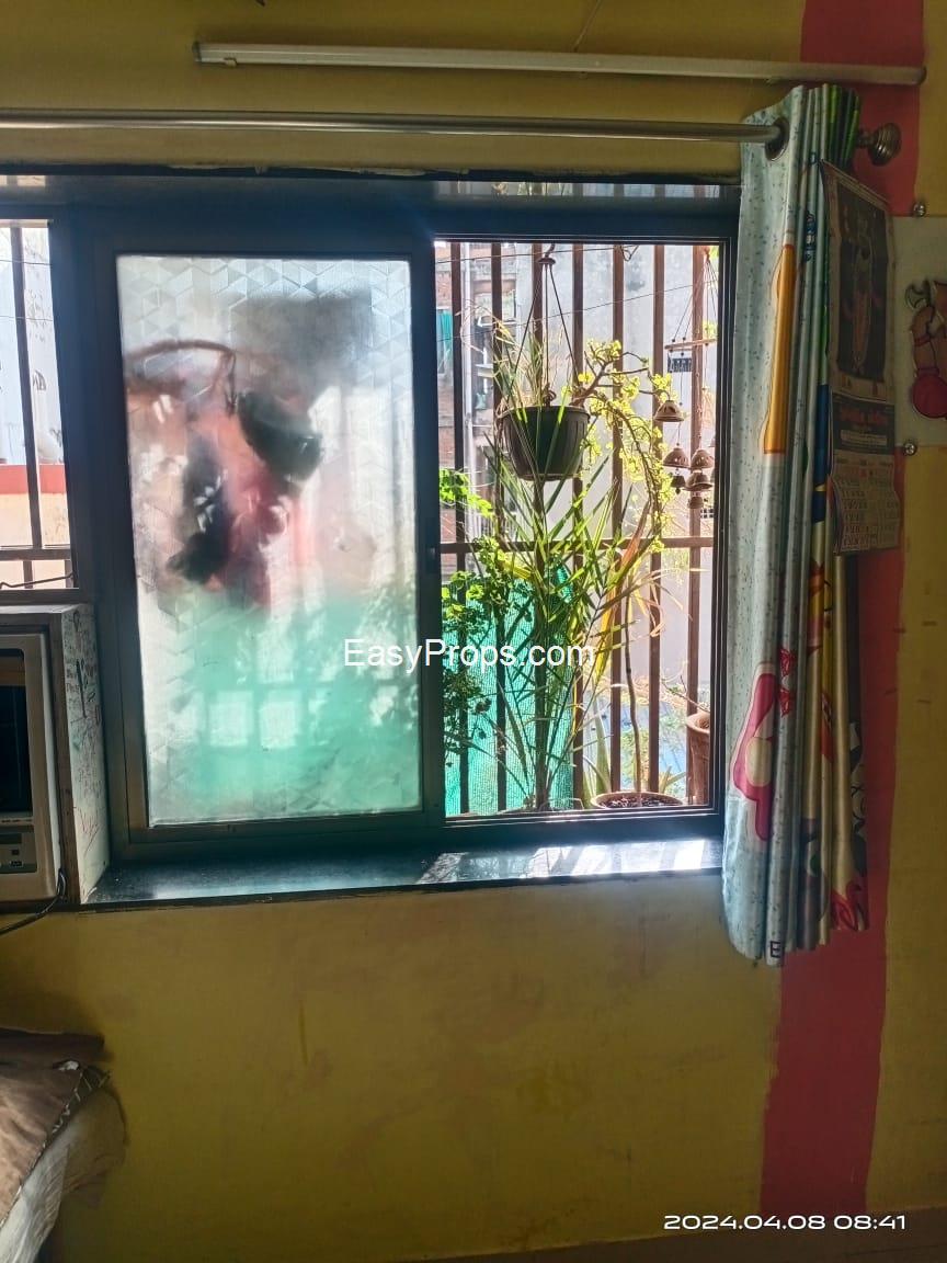 WhatsApp Image 2024-11-12 at 420241112164138772.jpeg